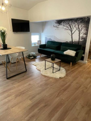 Magnifique appartement au cœur de la ville, Beziers
